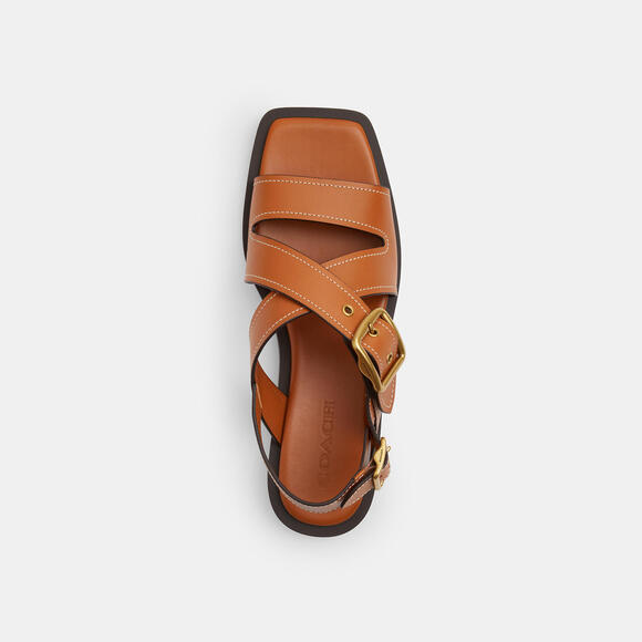 Archival Buckle Flat Sandal - Picture 2 of 7
